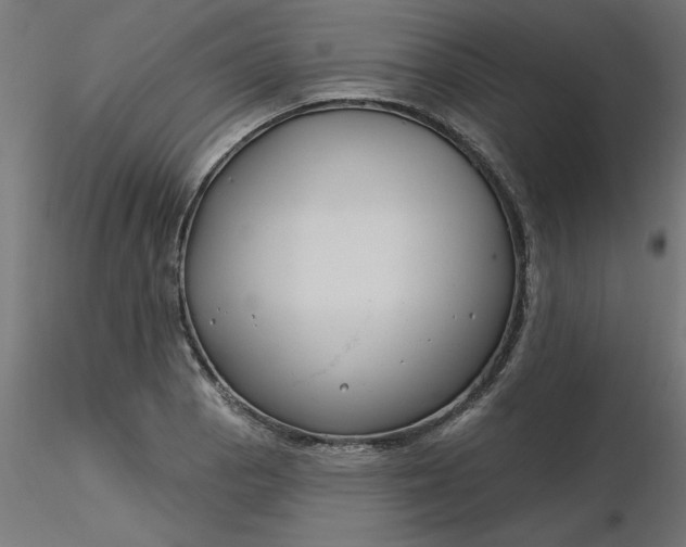 X0000116671129200912291653