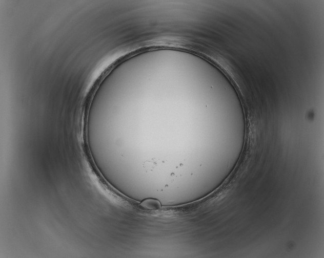 X0000116671131200912291653