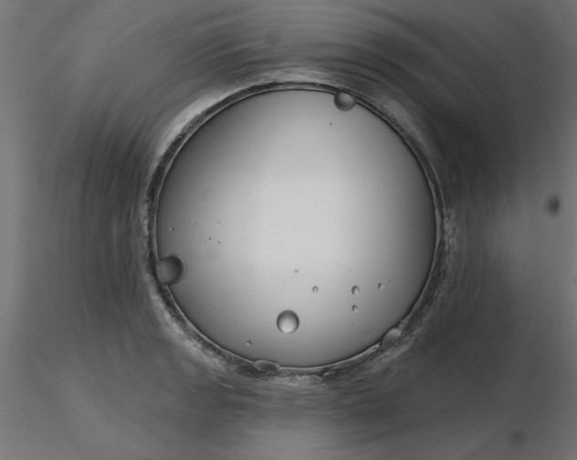 X0000116671133200912291653