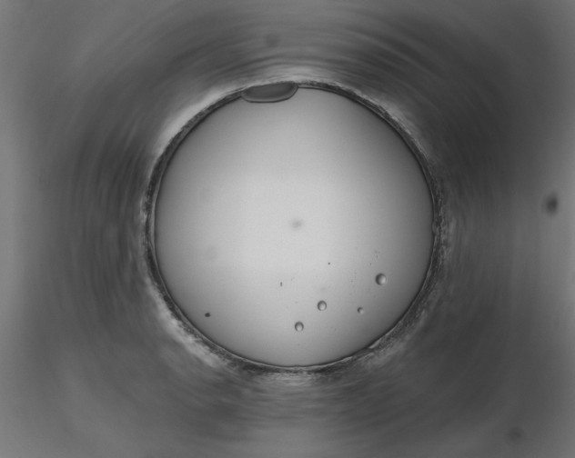 X0000116671134200912291653