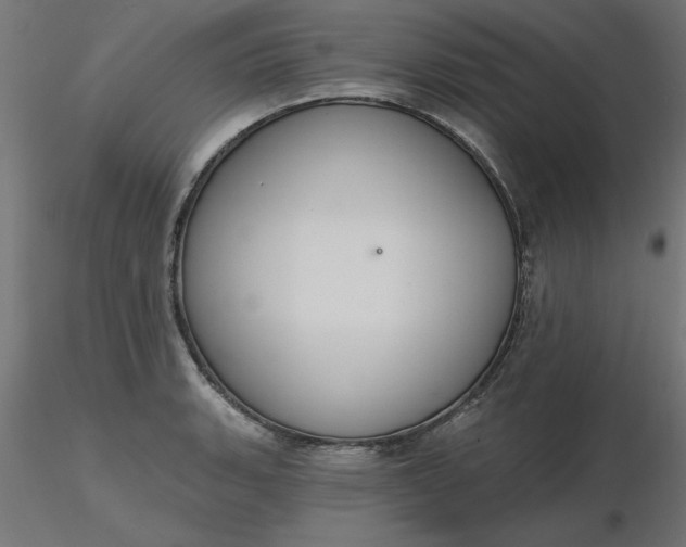 X0000116671135200912291653