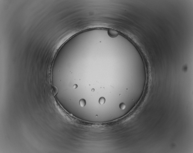 X0000116671137200912291653