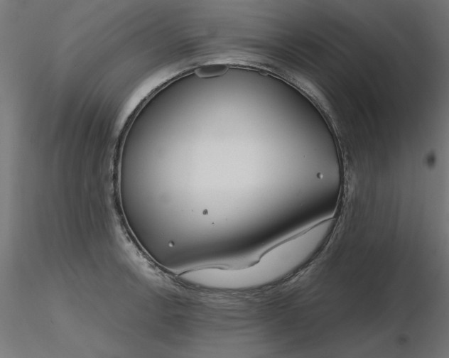 X0000116671138200912291653