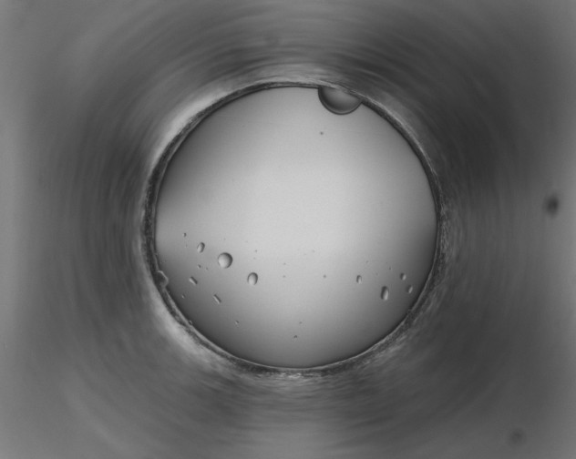 X0000116671139200912291653