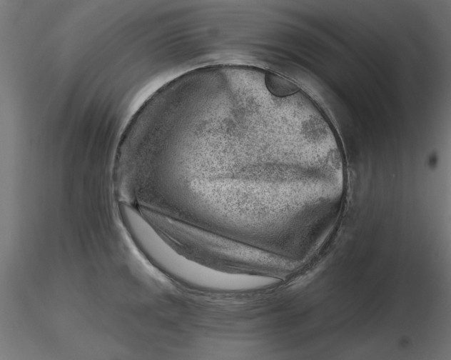 X0000116671141200912291653