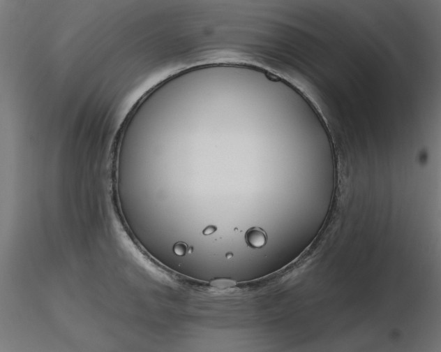 X0000116671142200912291653