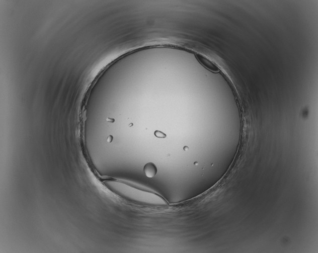 X0000116671143200912291653