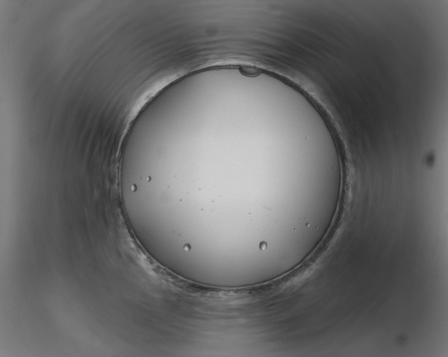 X0000116671145200912291653