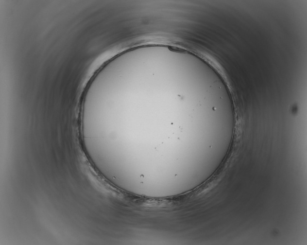 X0000116671146200912291653