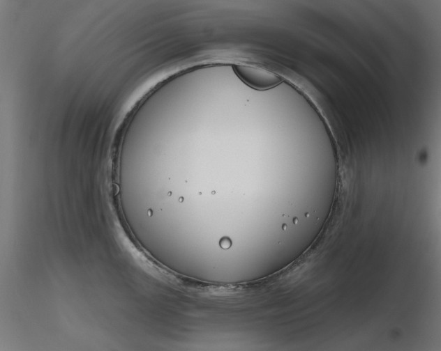 X0000116671147200912291653