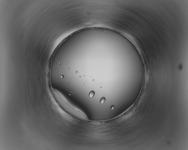 X0000116671149200912291653