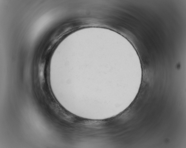 X0000116671150200912291653