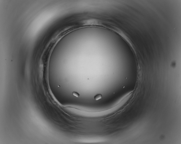 X0000116671151200912291653