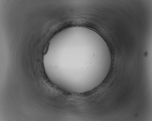 X0000116671153200912291652