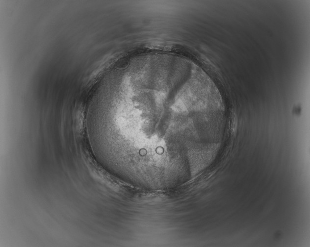 X0000116671154200912291652