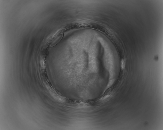 X0000116671155200912291652