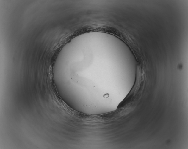 X0000116671156200912291652