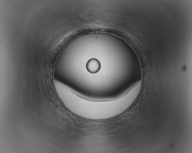 X0000116671157200912291652