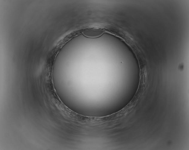 X0000116671158200912291652