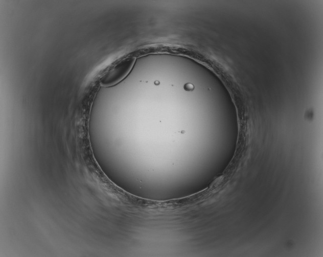 X0000116671159200912291652