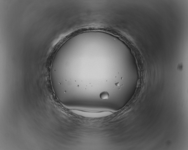 X0000116671160200912291652