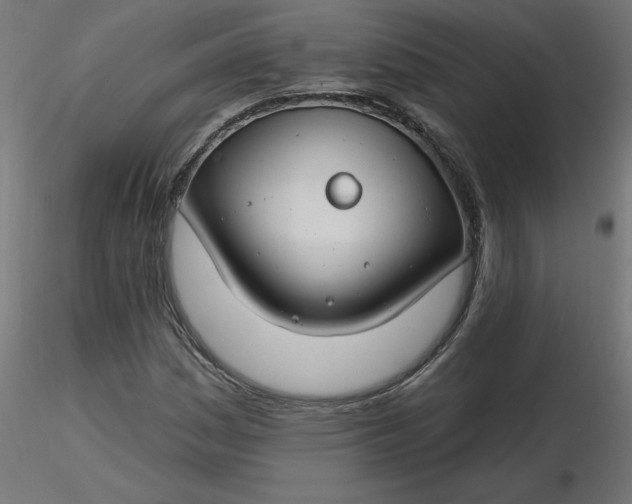 X0000116671161200912291652