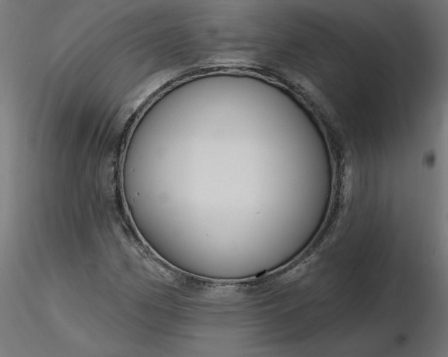 X0000116671162200912291652