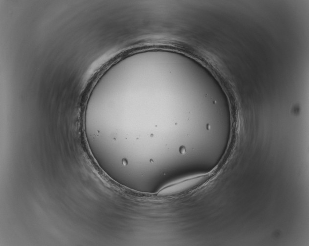 X0000116671164200912291652