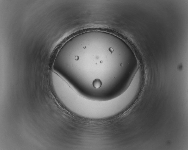 X0000116671165200912291652