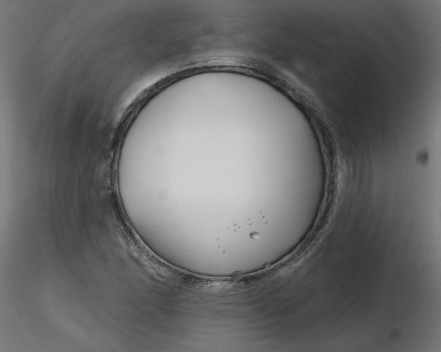 X0000116671166200912291652