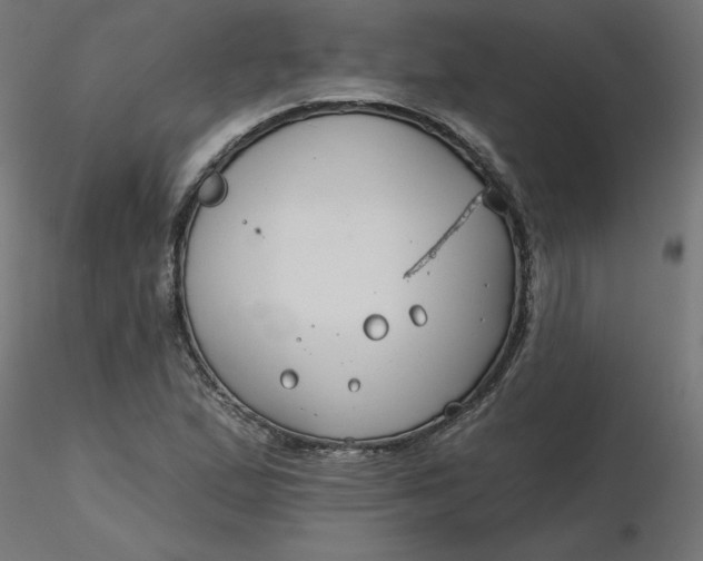 X0000116671167200912291652