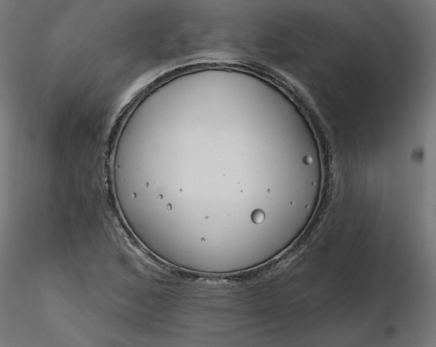 X0000116671168200912291652