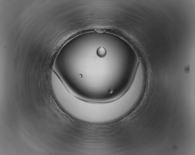 X0000116671169200912291652