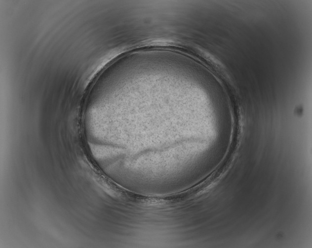 X0000116671170200912291652