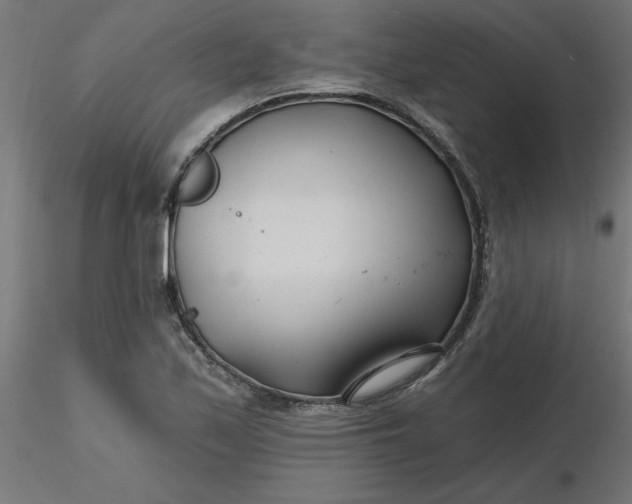 X0000116671171200912291652