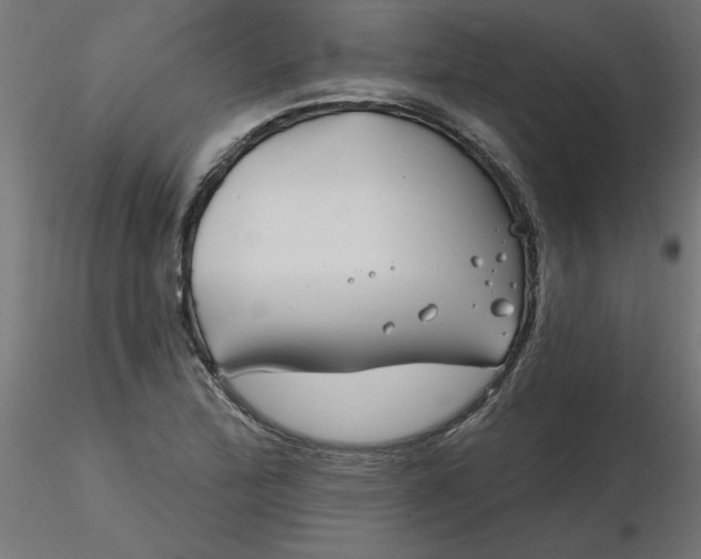 X0000116671172200912291652