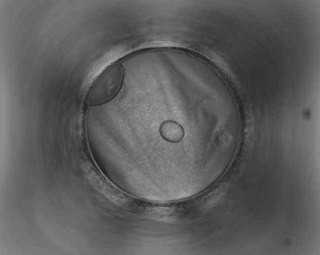 X0000116671173200912291652