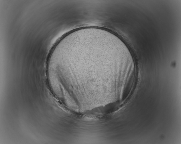 X0000116671174200912291652