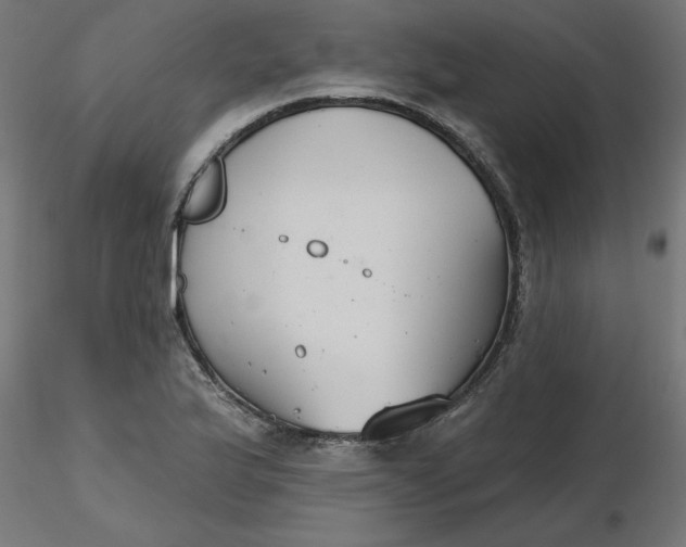 X0000116671175200912291652