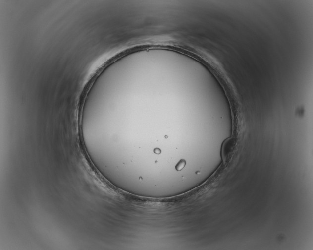 X0000116671176200912291652