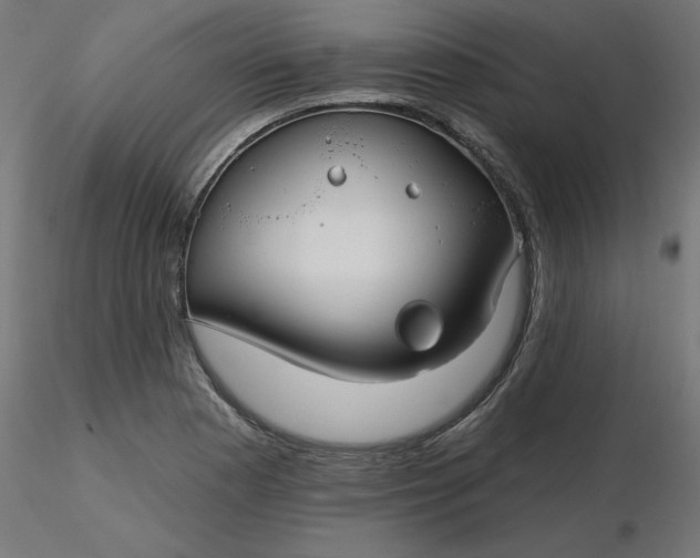 X0000116671177200912291652