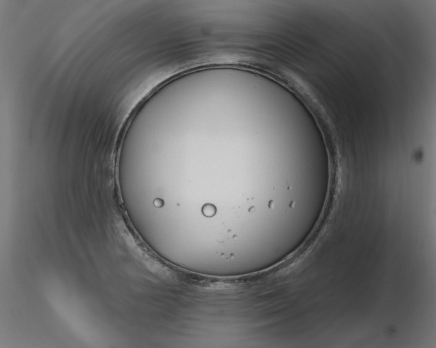 X0000116671178200912291652