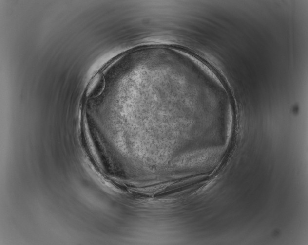 X0000116671179200912291652