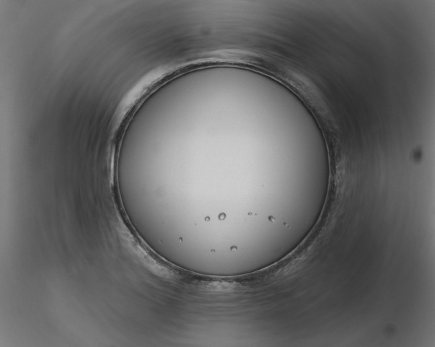 X0000116671180200912291652