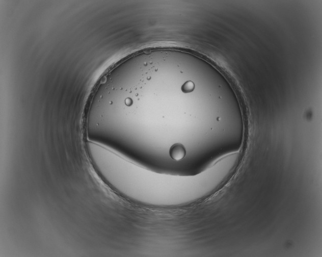 X0000116671181200912291652