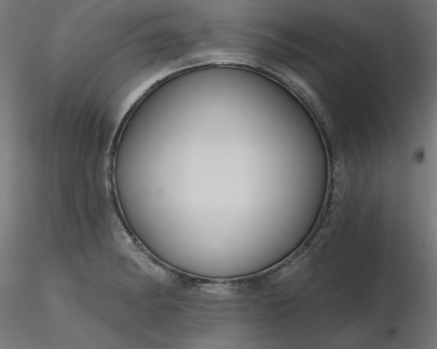 X0000116671182200912291652