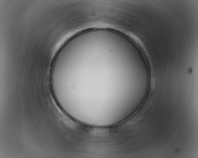 X0000116671183200912291652