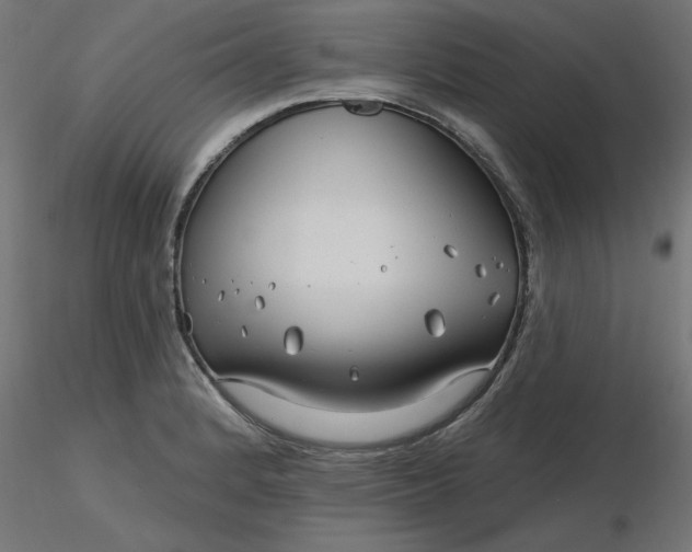 X0000116671184200912291652