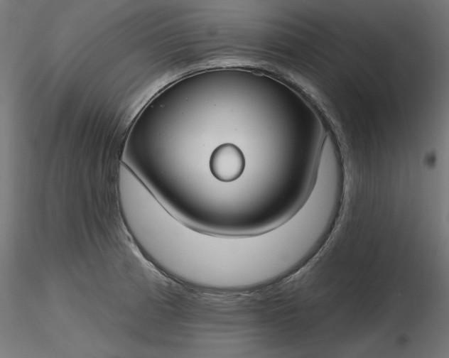 X0000116671185200912291652