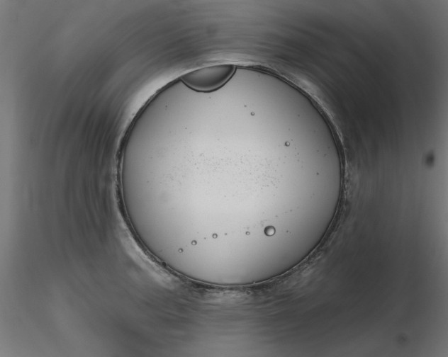 X0000116671187200912291652